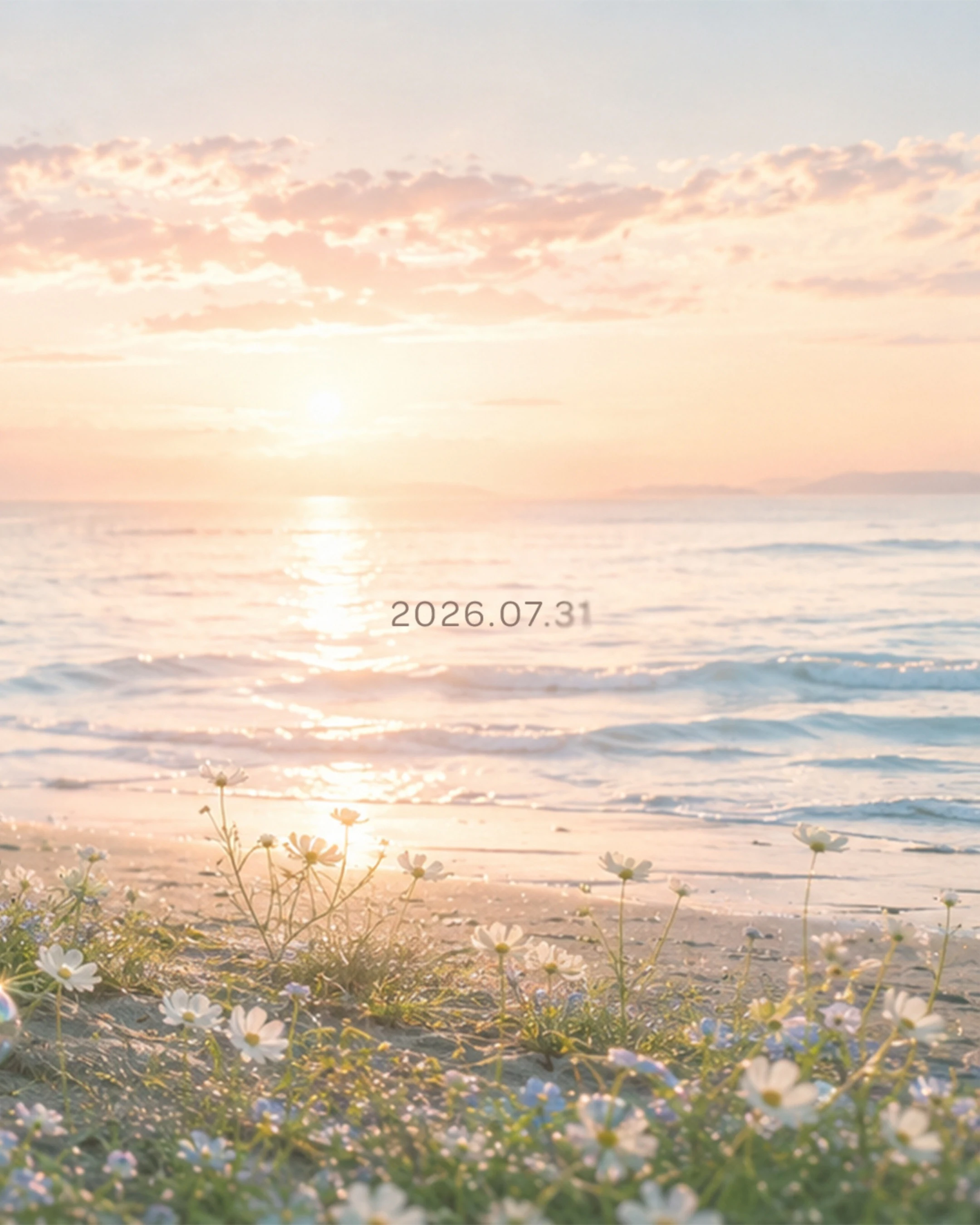 260728-3-optimized.webp